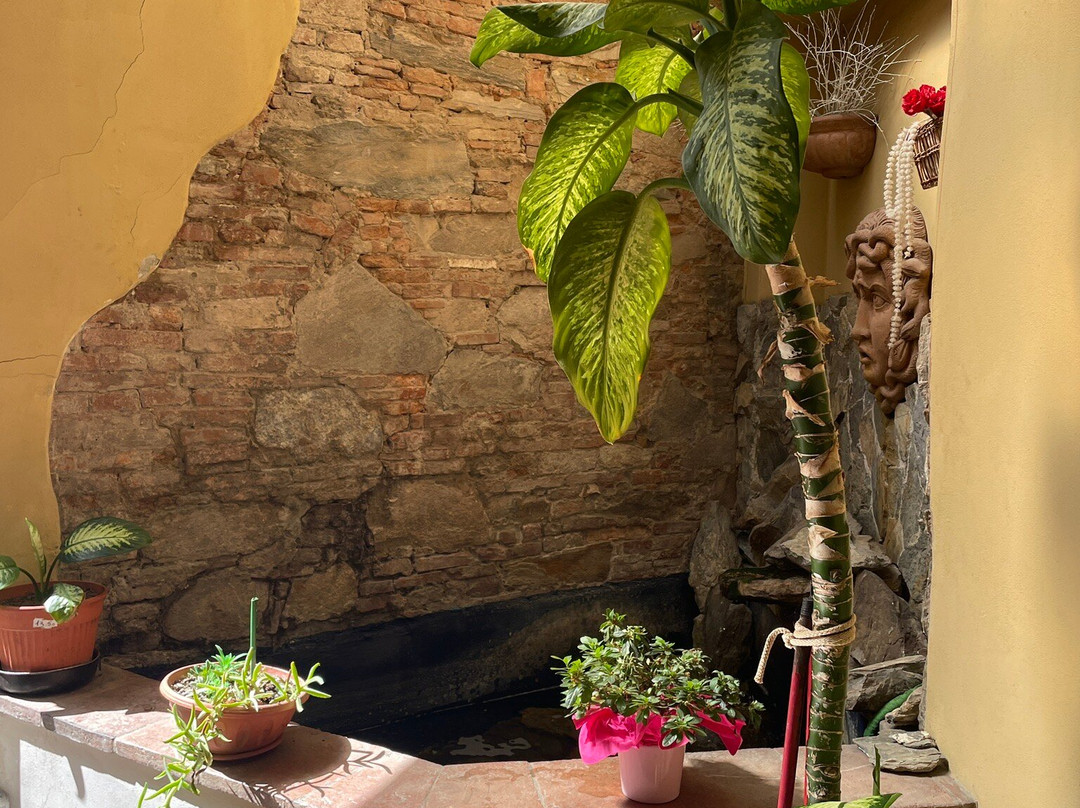 圣卢卡宫酒店主图