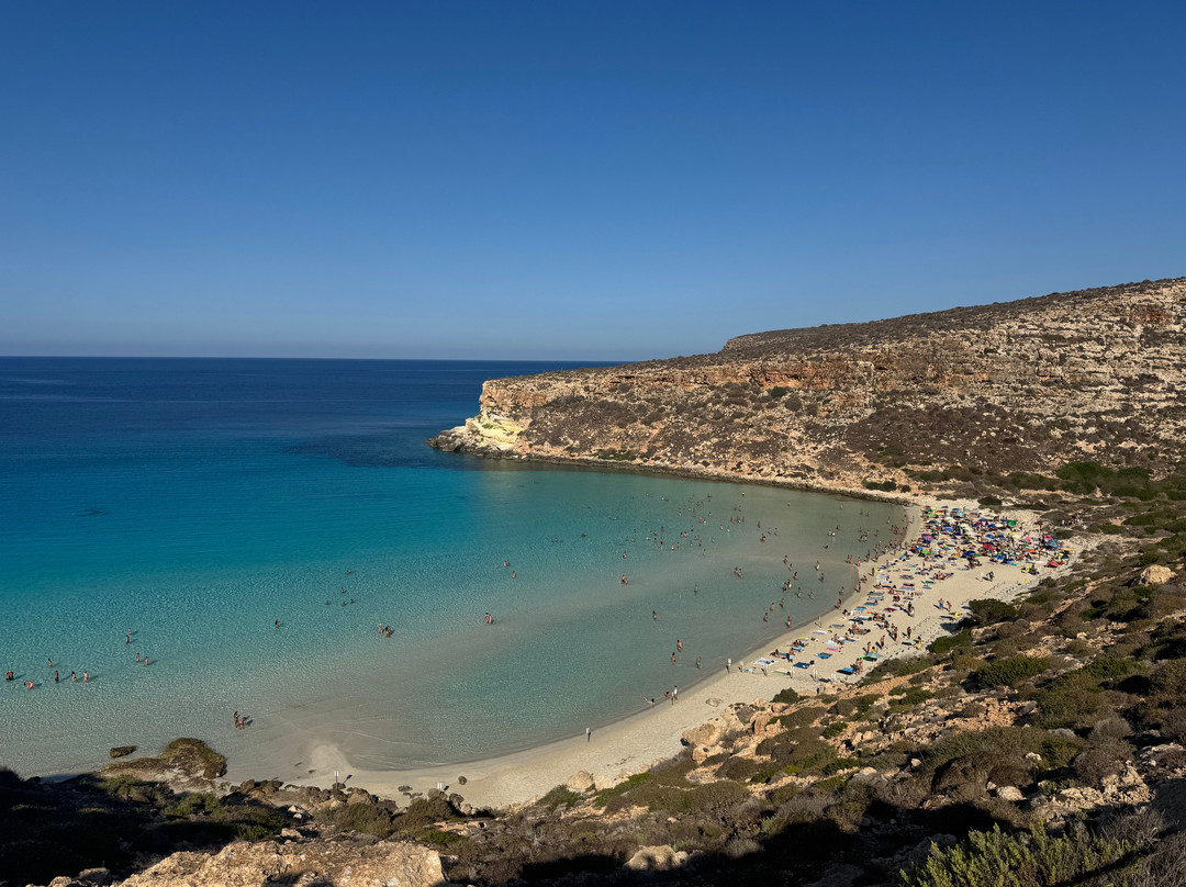 Isola dei Conigli-兰佩杜萨必去景点