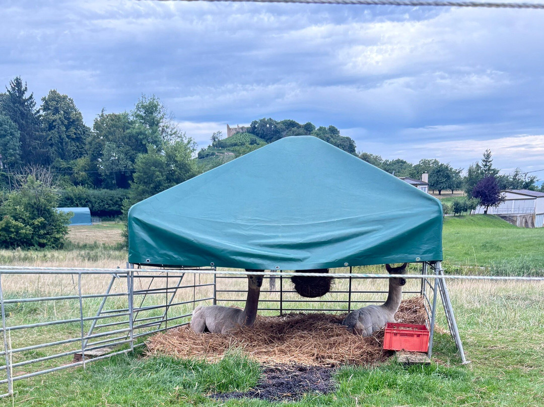 Gästehaus Kaltenbach主图