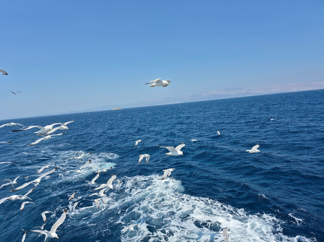 Lady Bente-切什梅必去景点