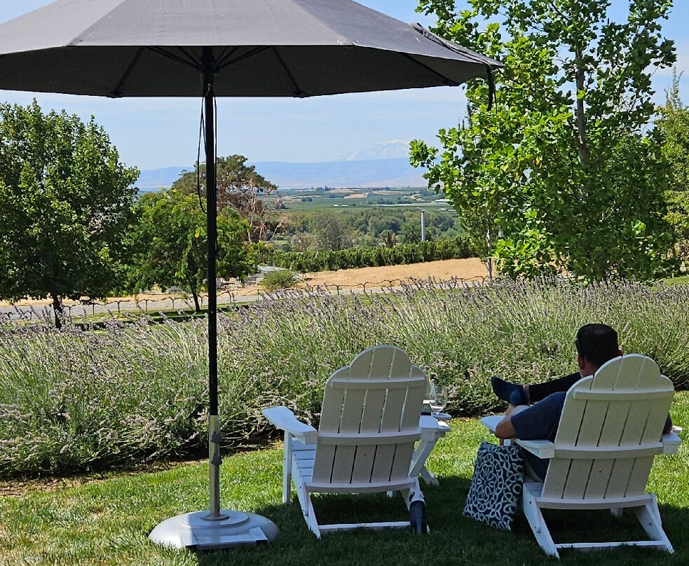 Owen Roe Winery-Wapato必去景点