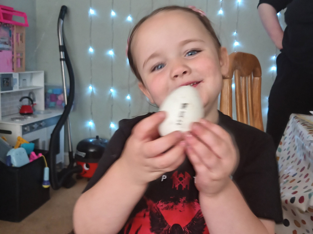 Little Owl Farm Park-Stourport on Severn必去景点