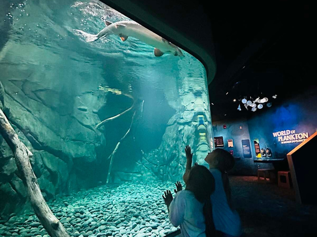 尚普兰湖回声莱希中心-伯灵顿必去景点