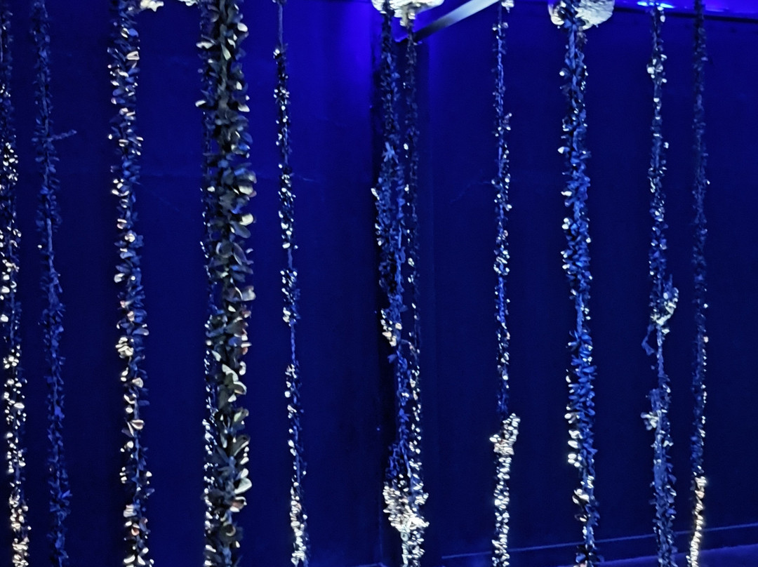 Autica Tours-Yogyakarta必去景点