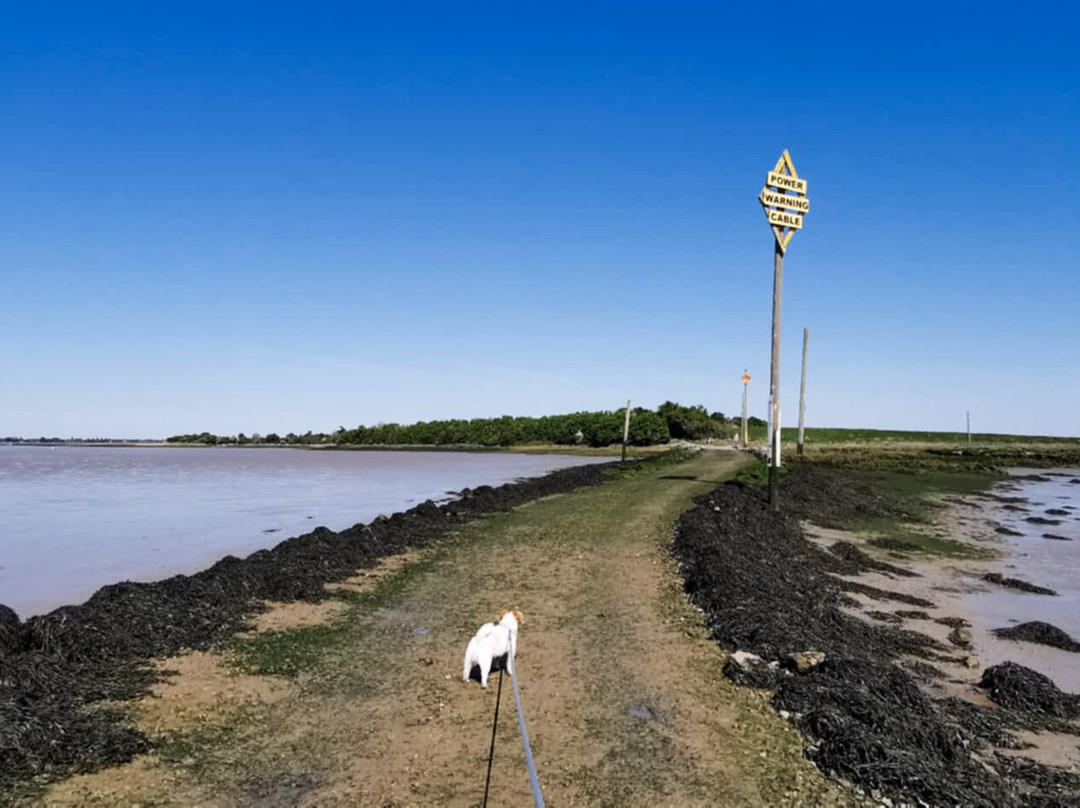 Northey Island-Maldon必去景点