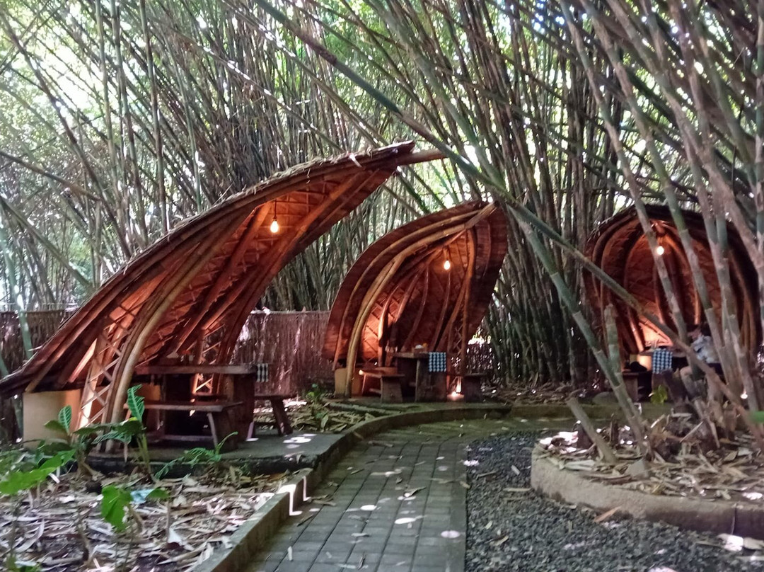 Penglipuran Bamboo Forest-Bangli必去景点