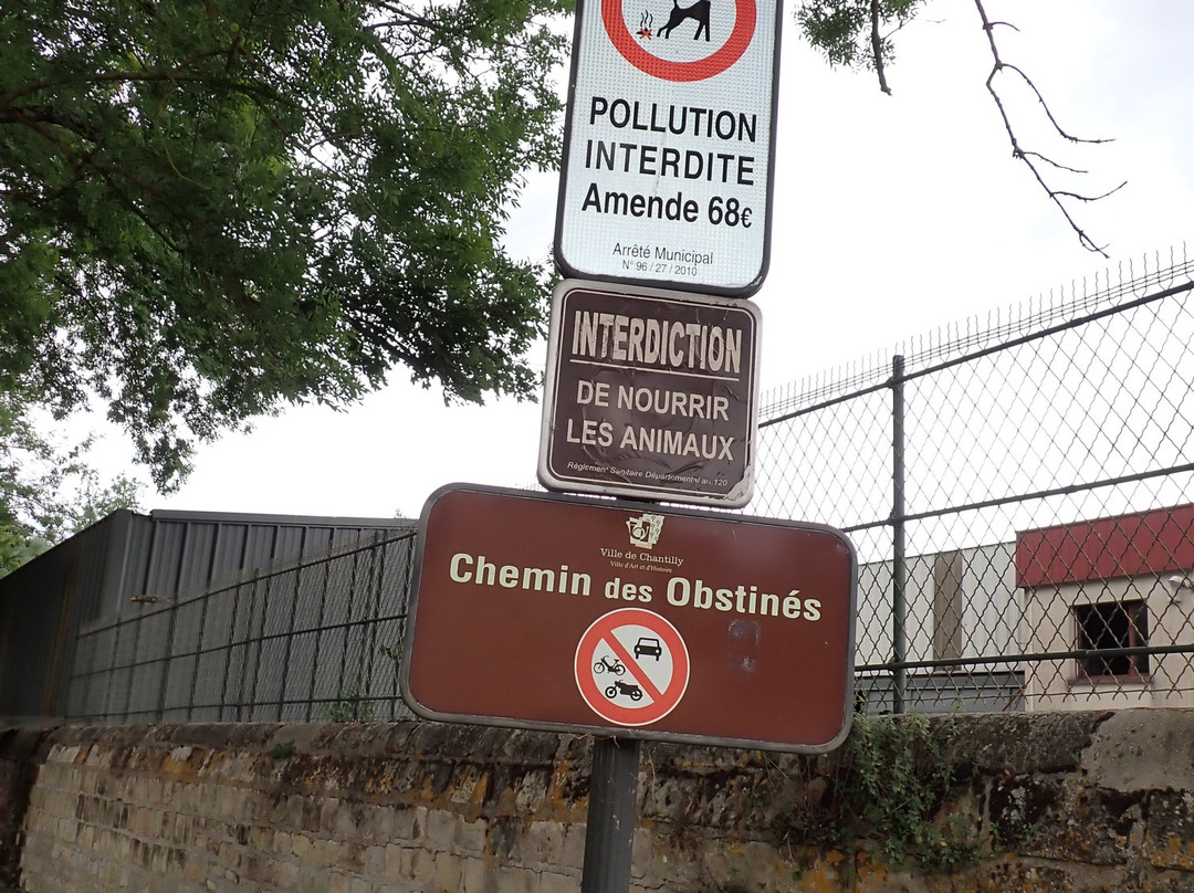 Circuit "Le long des canaux"-尚蒂伊必去景点