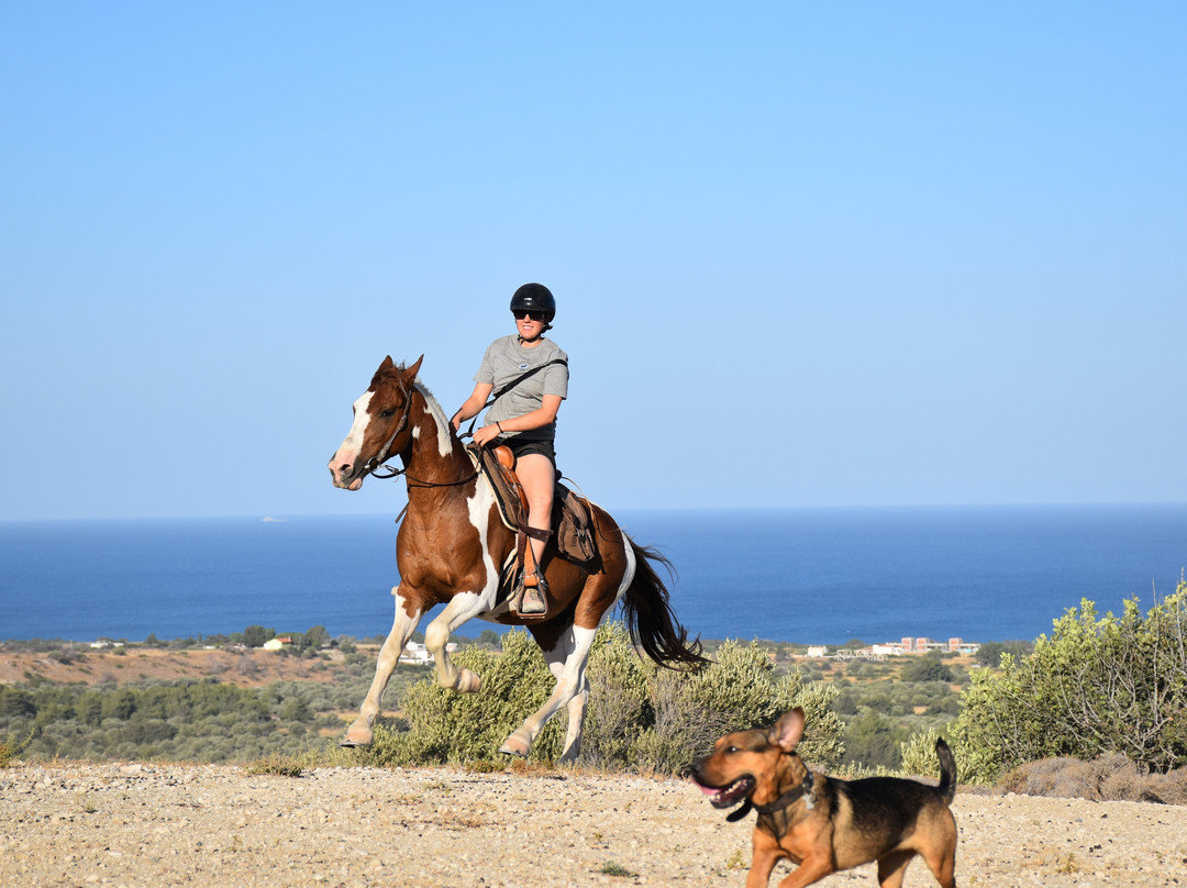 A&E Elpida Ranch-罗德城必去景点