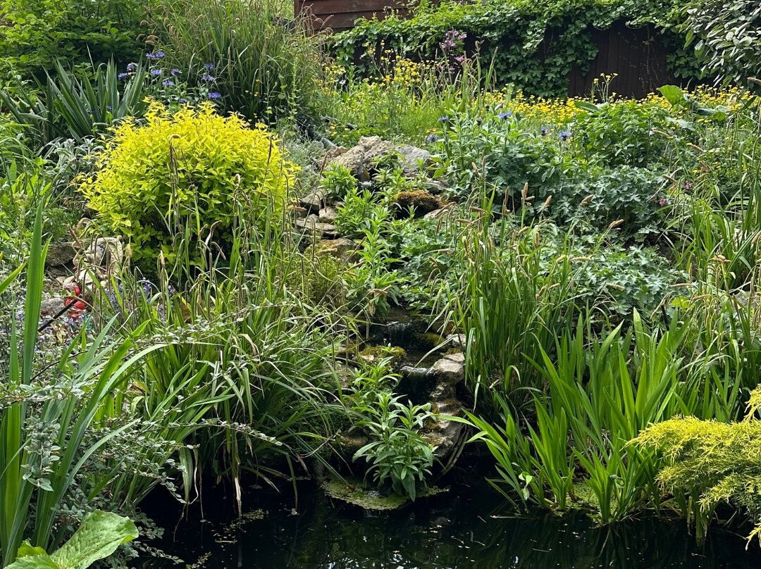 Tiggywinkles Wildlife Hospital Visitor's Centre-Haddenham必去景点