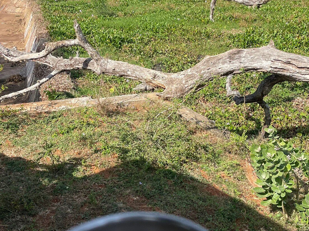 Camp Leopard - Yala Safari Glamping主图