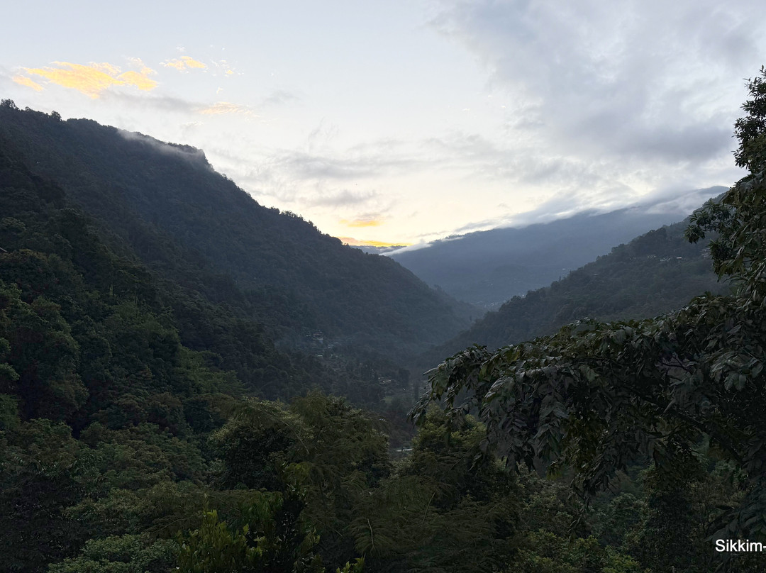 Burpeepal Holiday Cottage主图