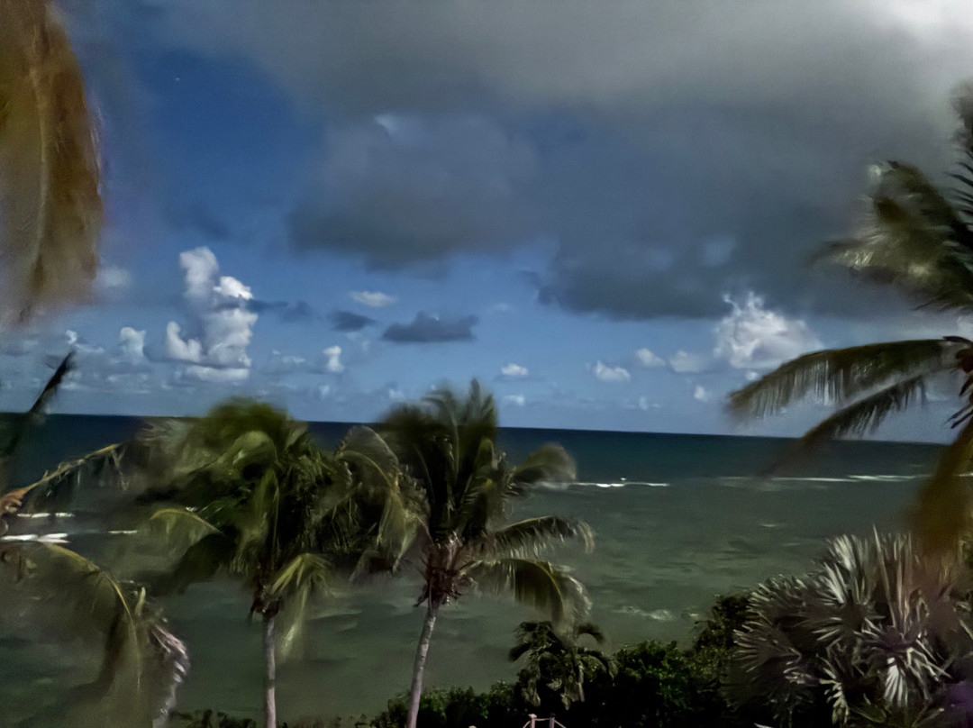 Villa Margarita主图