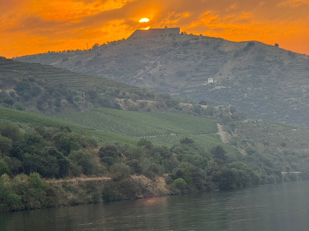Wild River Tours-Vila Nova de Foz Coa必去景点