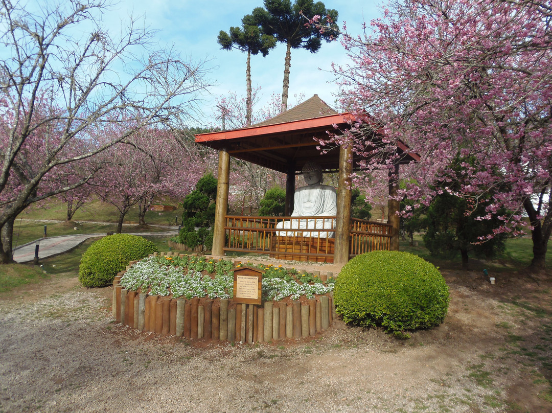 Parque das Cerejeira-坎普斯－杜若尔当必去景点