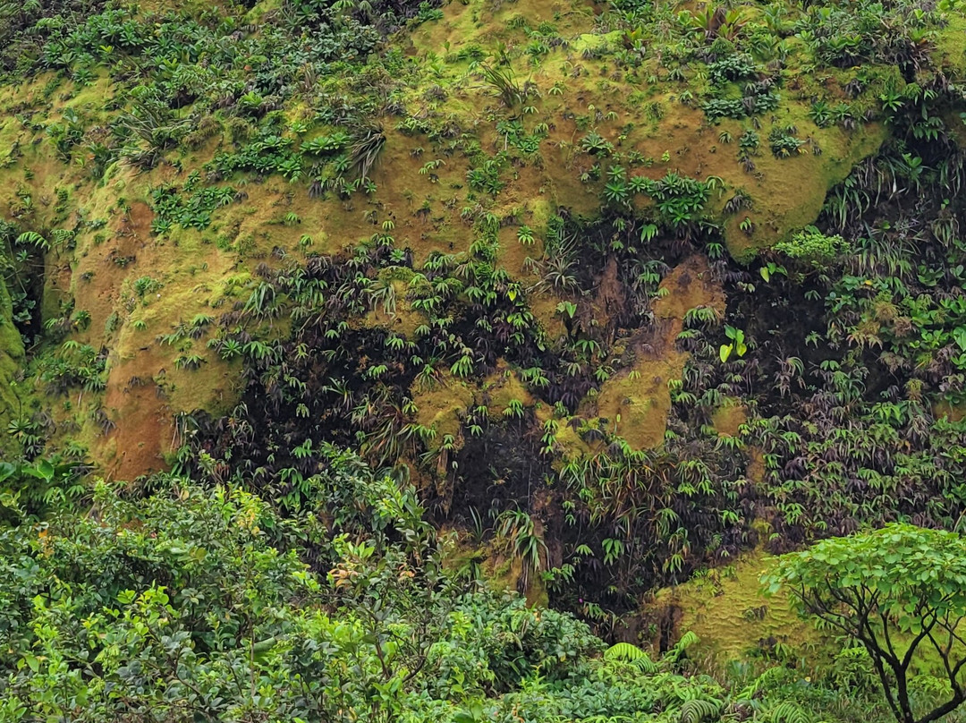 La Soufriere Volcano-Saint-Claude必去景点