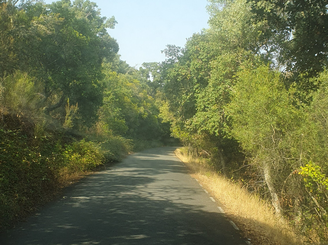 Monfrague National Park-Villarreal de San Carlos必去景点