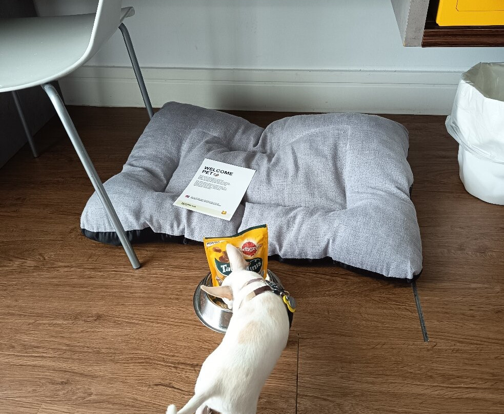 Petit Palace Tamarises主图