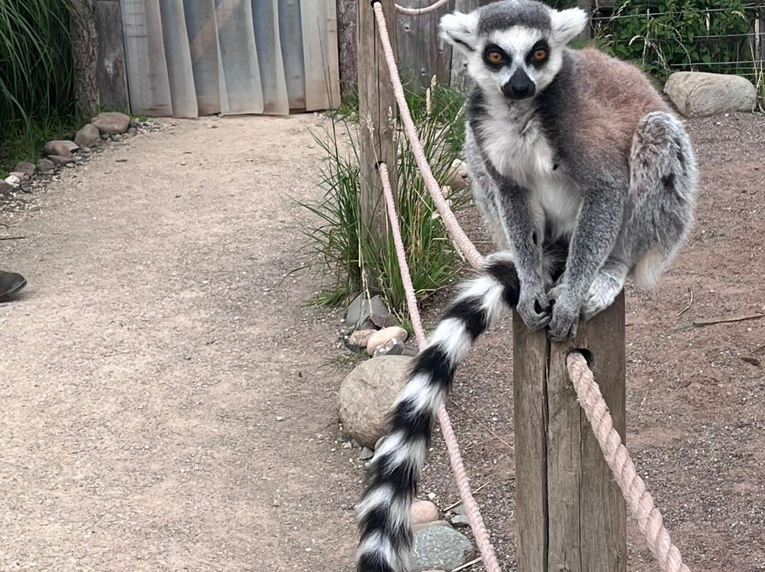 Fife Zoo-库珀必去景点