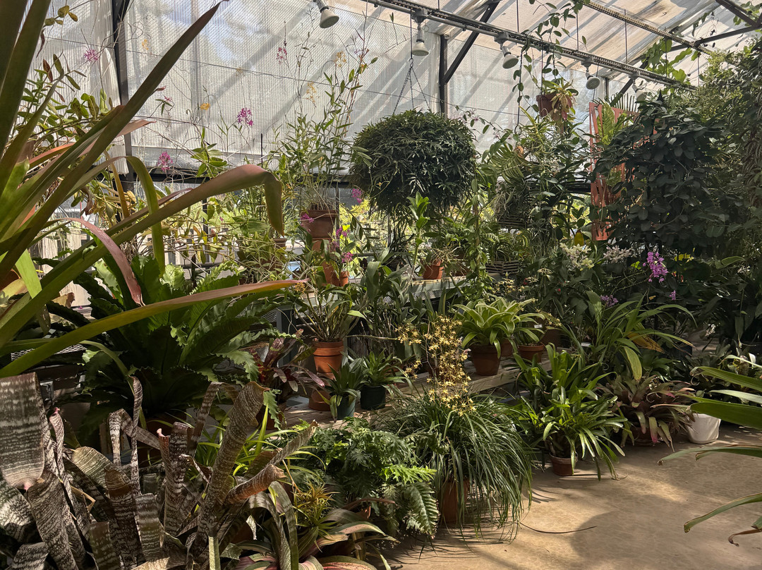 Green Spring Gardens-亚历山德里亚必去景点