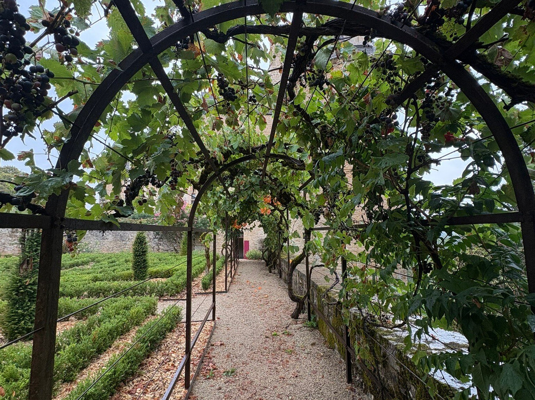 Chateau de Montal-Saint-Jean-Lespinasse必去景点