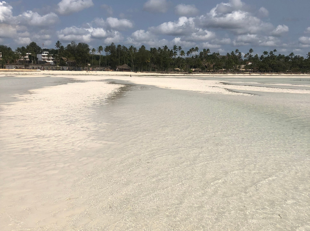 Pwani Mchangani Beach-Pwani Mchangani必去景点