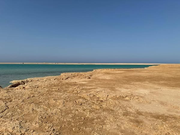 Blue Sharm