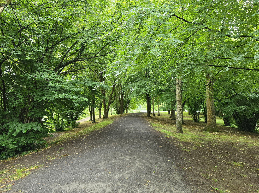 Park Du Cam