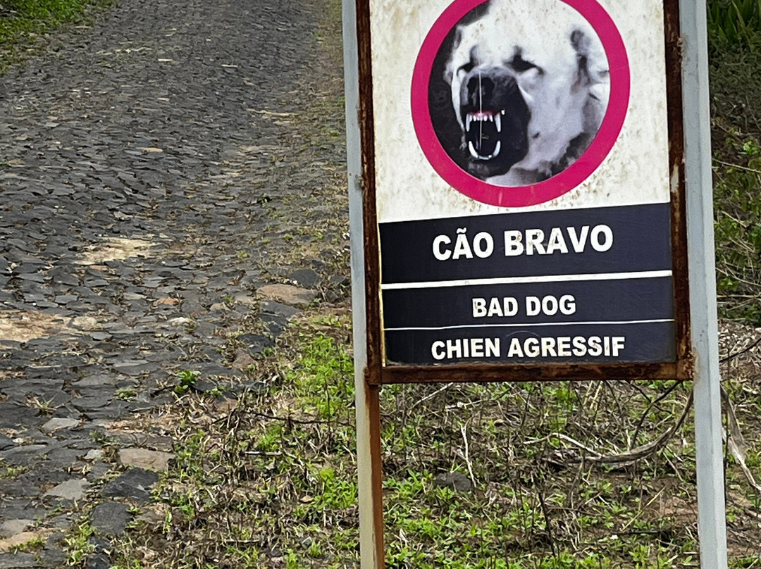 Monte Verde-明德卢必去景点