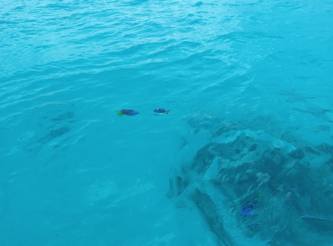 Nungwi Aquarium Adventures-孥归必去景点