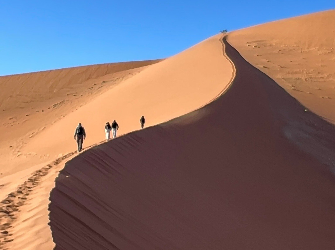 Wild Wind Safaris-温德和克必去景点