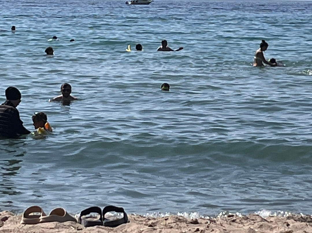 Sevgi Plajı-Davutlar必去景点