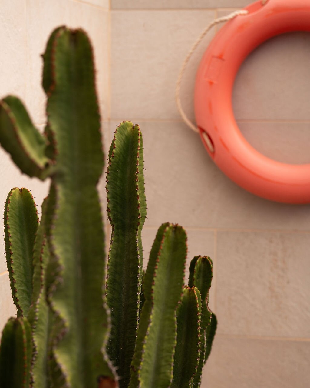 Fiftyfour West Boutique Living-泳池