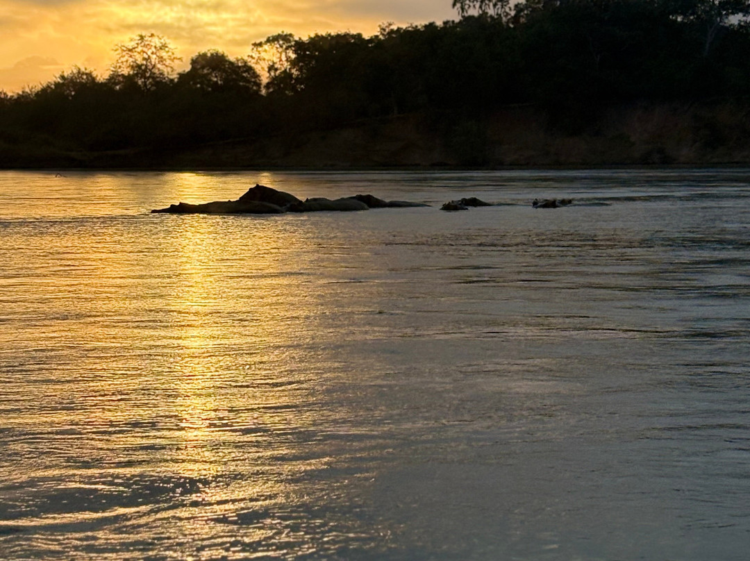 Asante Bibi Safaris And Tours-莫西必去景点