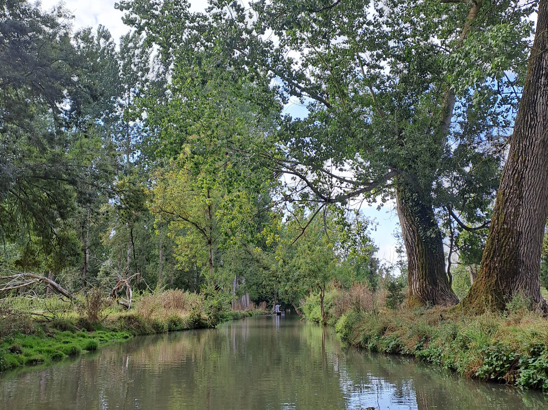 Embarcadere Cardinaud - Marais poitevin-Nouvelle-Aquitaine必去景点