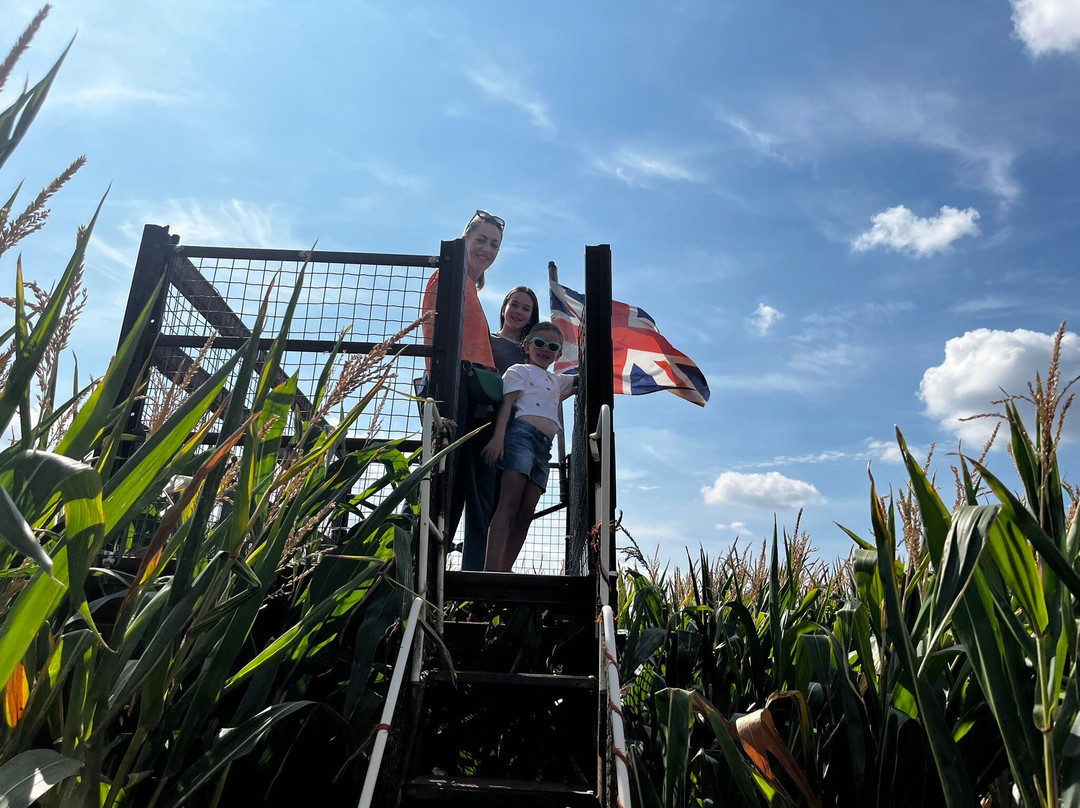 Elton Farm Maize Mazes-Newnham-on-Severn必去景点