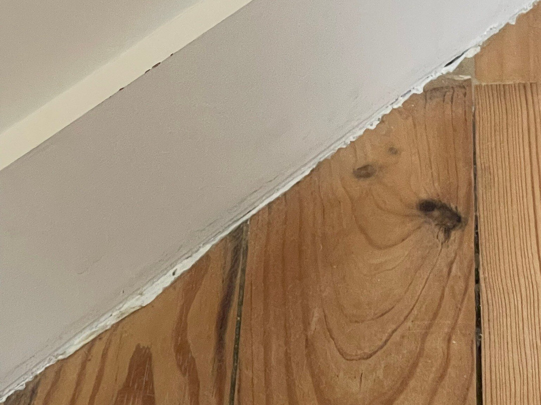 卡斯特尔弗勒里酒店主图