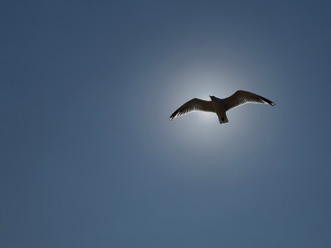 Frinton on Sea Beach-Frinton-On-Sea必去景点