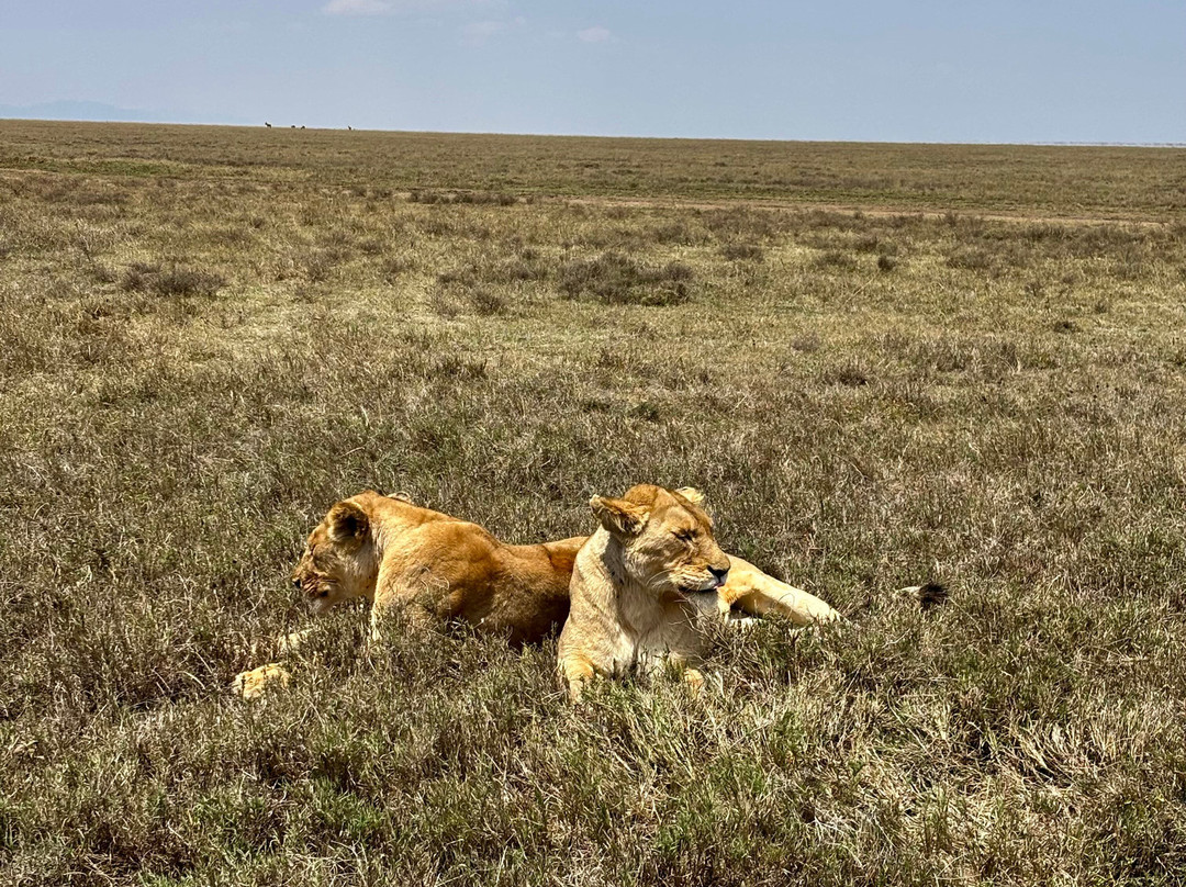 Trip Quest Safaris-阿鲁沙必去景点