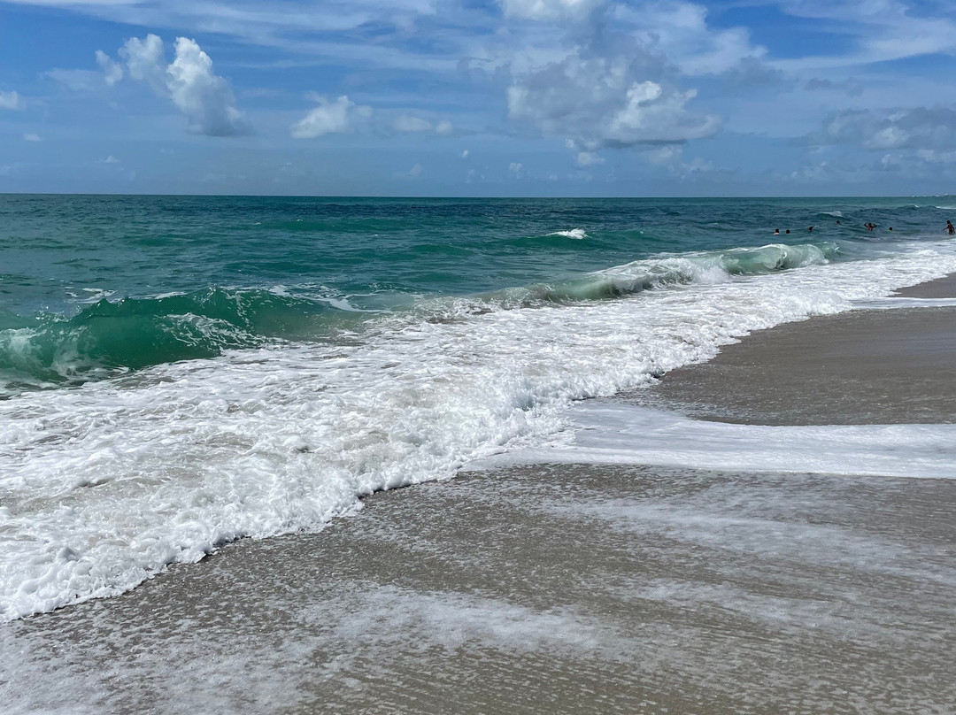 Myrtle Beach State Park-美特尔海滩必去景点
