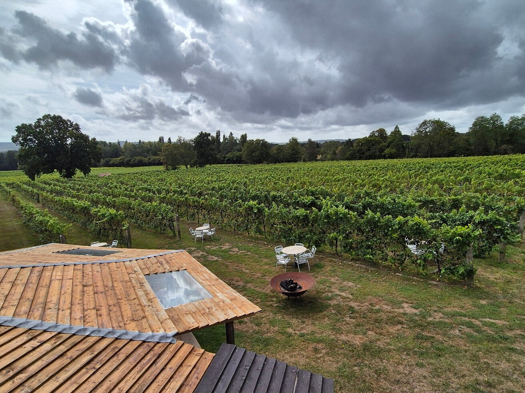 Nutbourne Vineyards-Nutbourne必去景点