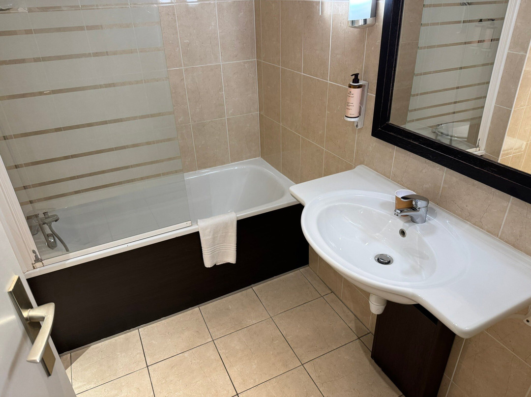 昂热中心福煦水星酒店主图