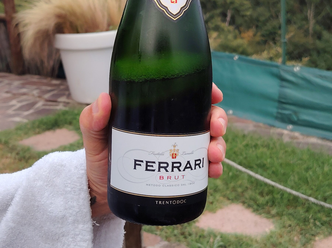 exphera-Palazzago必去景点