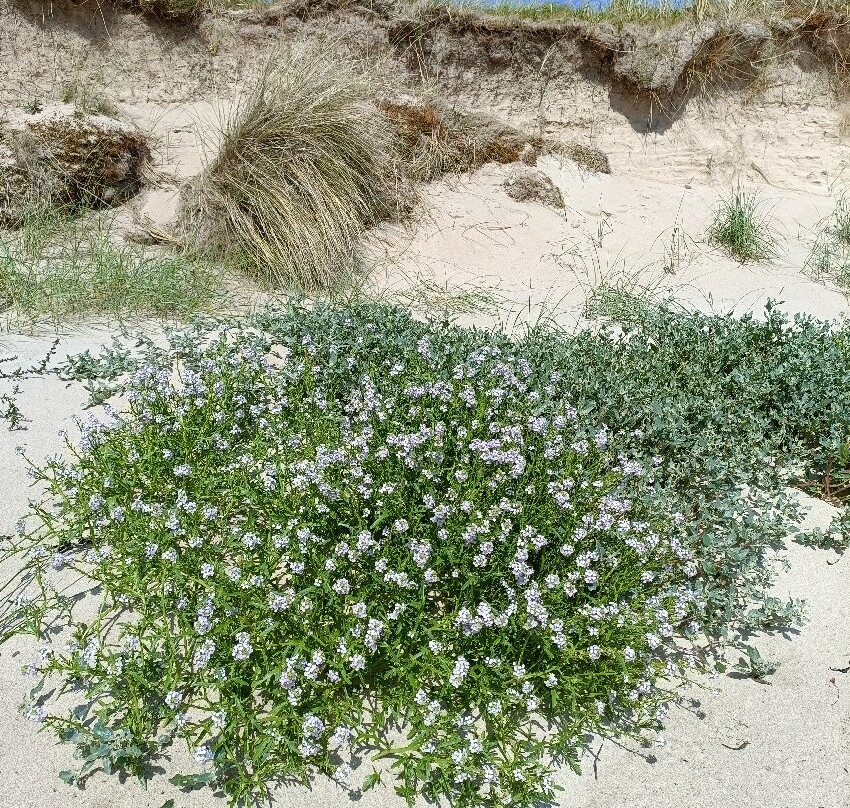 Bunbeg Wreck - Bád Eddie (eddie's Boat)-Gweedore必去景点