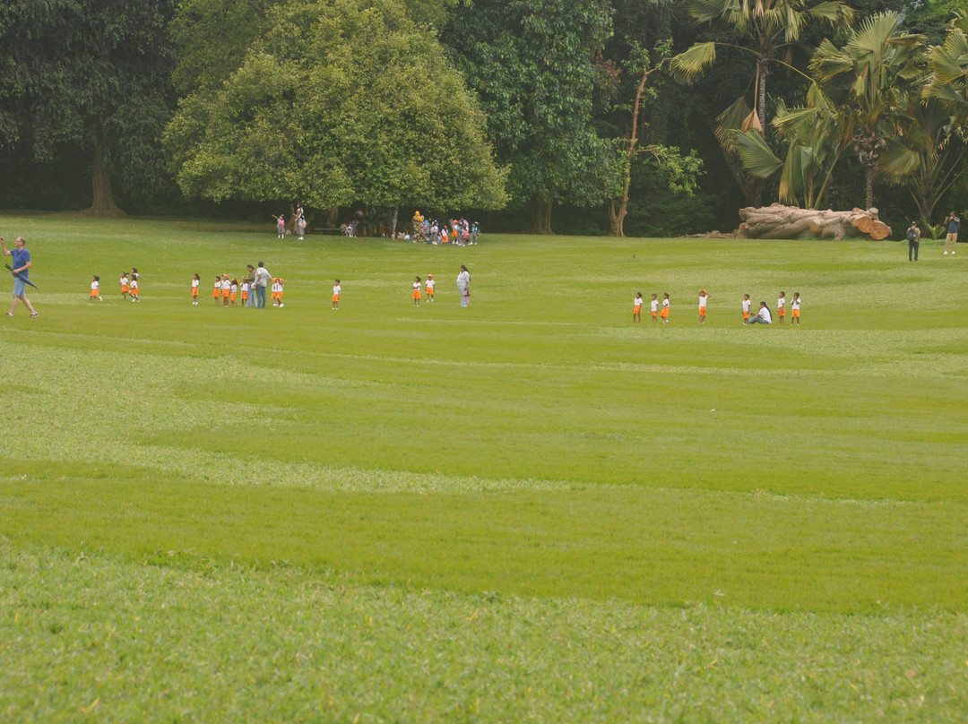 SLRIDE.COM-奴娃拉伊利雅必去景点