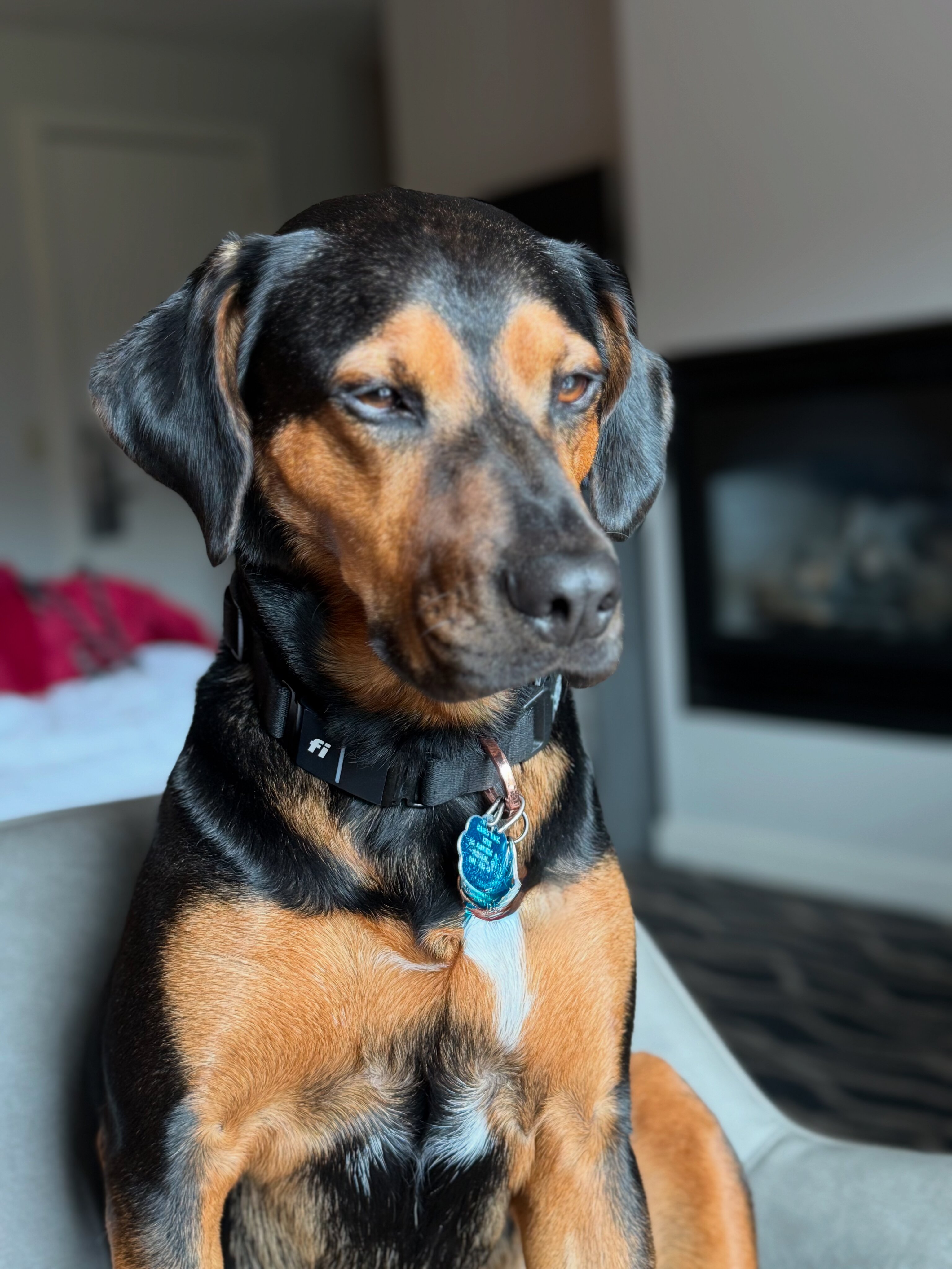 The Mountain Inn-浴室