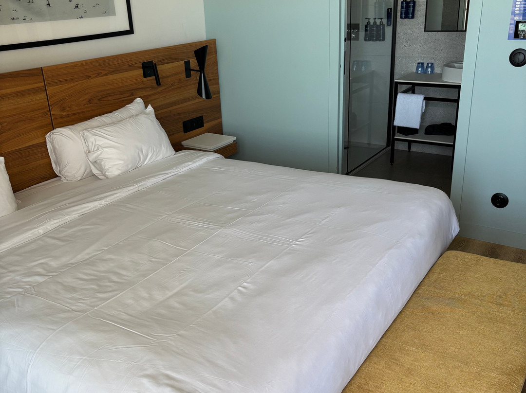 Radisson Blu Grand Hotel & Spa, Malo-les-bains主图