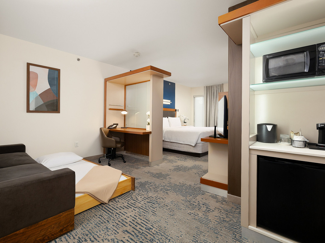 SpringHill Suites麦卡伦会议中心酒店主图