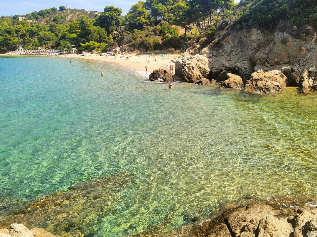 Banana Beach-斯亚索斯必去景点