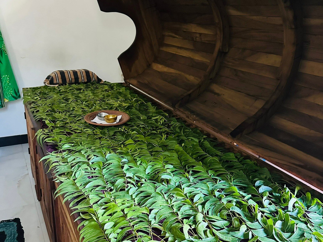 Thrimal Ayurvedic Treatment Center-哈巴拉娜必去景点