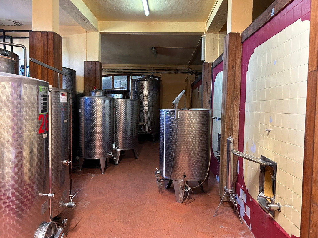 Buonamico Tenuta-Montecarlo必去景点